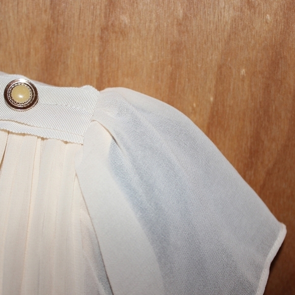 Ecolour Ciffon Pleated Dress - Picture 4 of 9